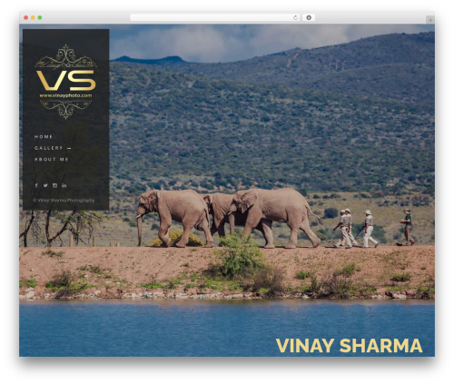 Theme WordPress TopPic - vinayphoto.com
