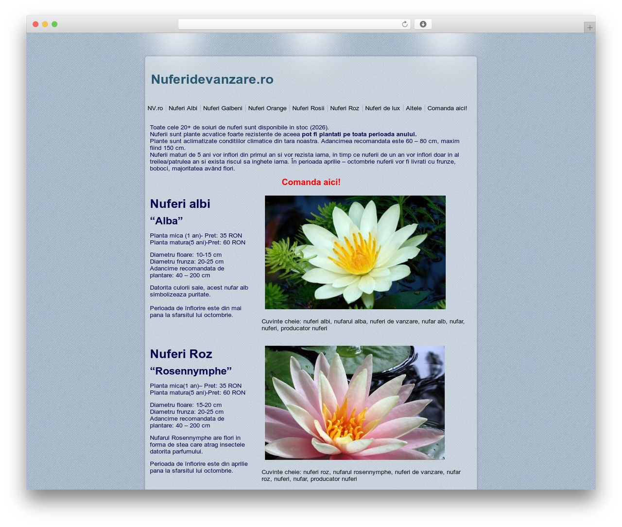 theme1 WordPress theme - nuferidevanzare.ro theme1 WordPress theme - nuferidevanzare.ro