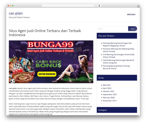 WordPress theme NDESIGN - cac-plan.com