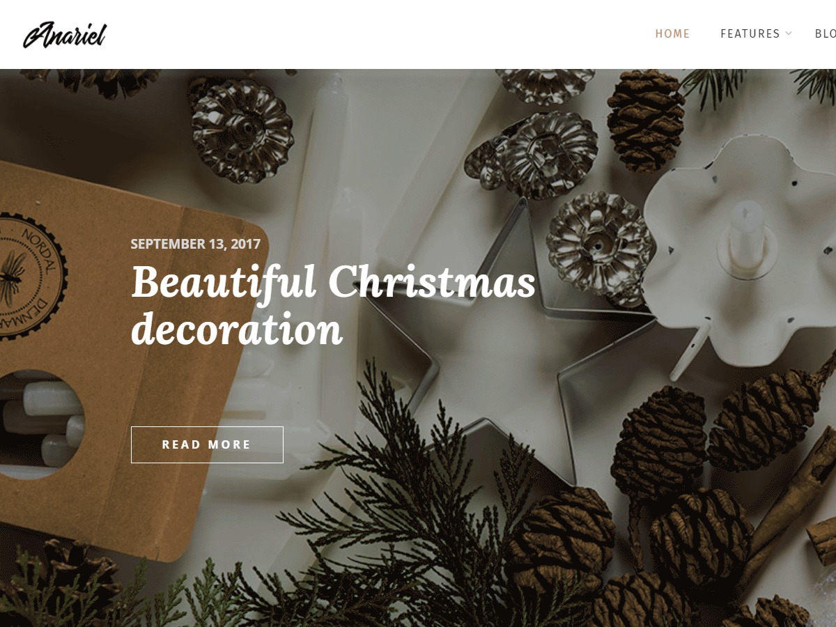 WordPress theme Anariel Child by gljivec