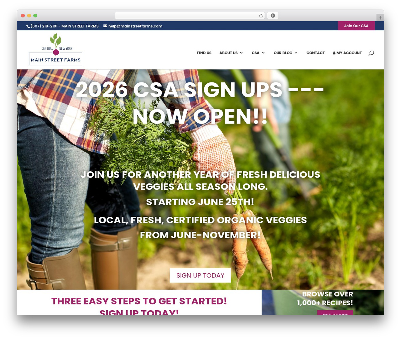 WordPress theme Divi - mainstreetfarms.com WordPress theme Divi - mainstreetfarms.com