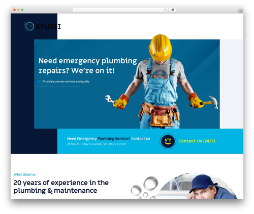 Buildguy WordPress theme - kyusei.net