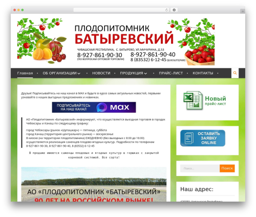 Category page icons WordPress plugin - batpitomnik.ru