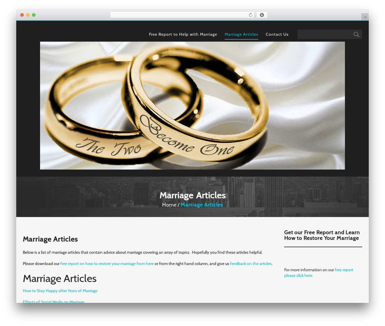 Customizable WordPress theme - needmarriagehelp.com