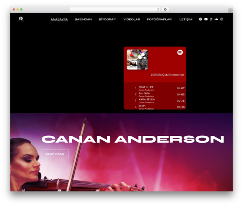 Micdrop WordPress theme - canananderson.com