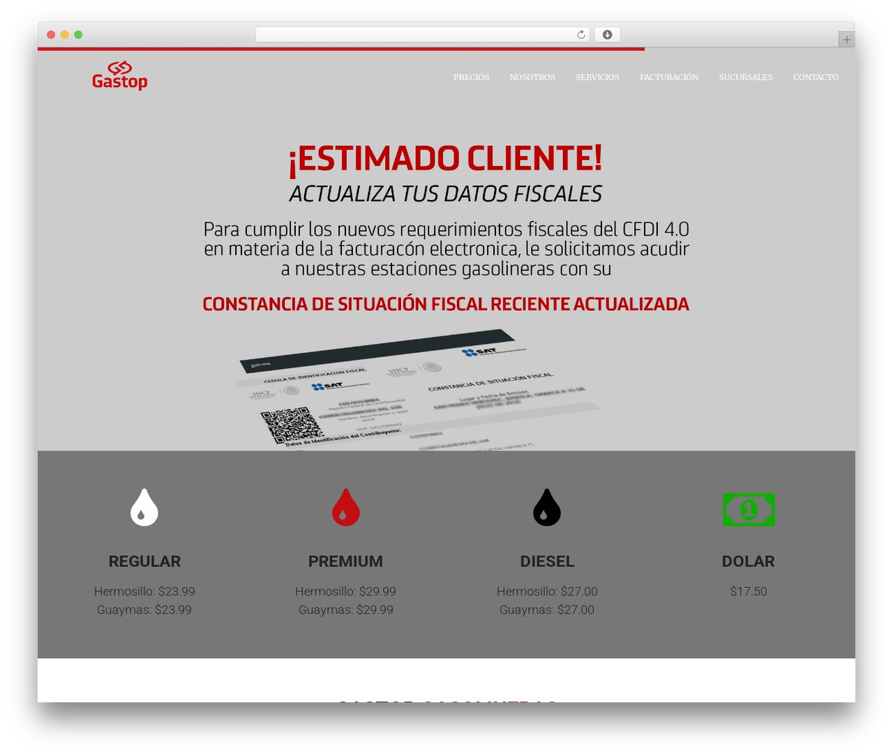 Theme WordPress Screen - gastop.mx