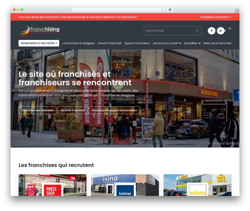 WordPress theme Cherry Pulp - franchisingbelgium.be