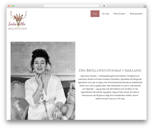 SKT Skill Bar (skt-skill-bar) free WordPress plugin - sandrahila.com