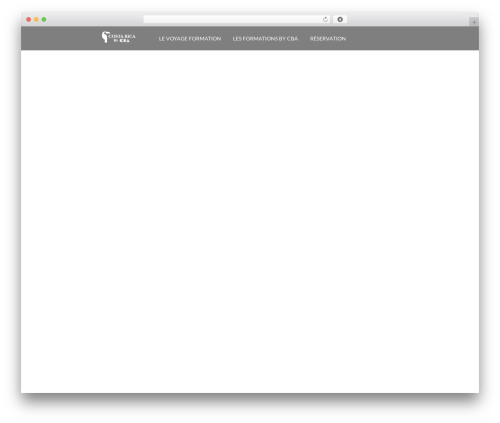 Startuply WP WordPress theme - cbaef.com