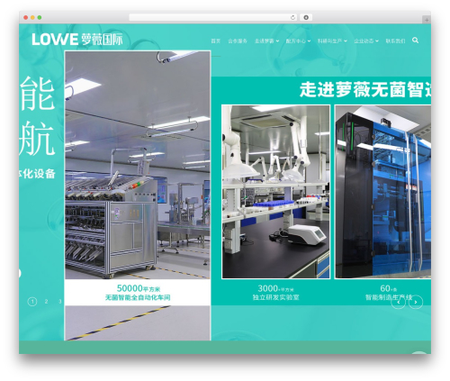 Font awesome local WordPress plugin - gdlovve.com