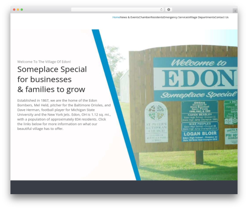 Tenweb builder WordPress plugin - edon-ohio.com
