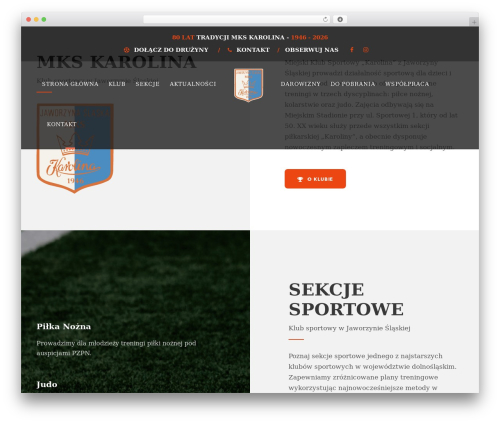 BigSlam WordPress theme - mkskarolina.com
