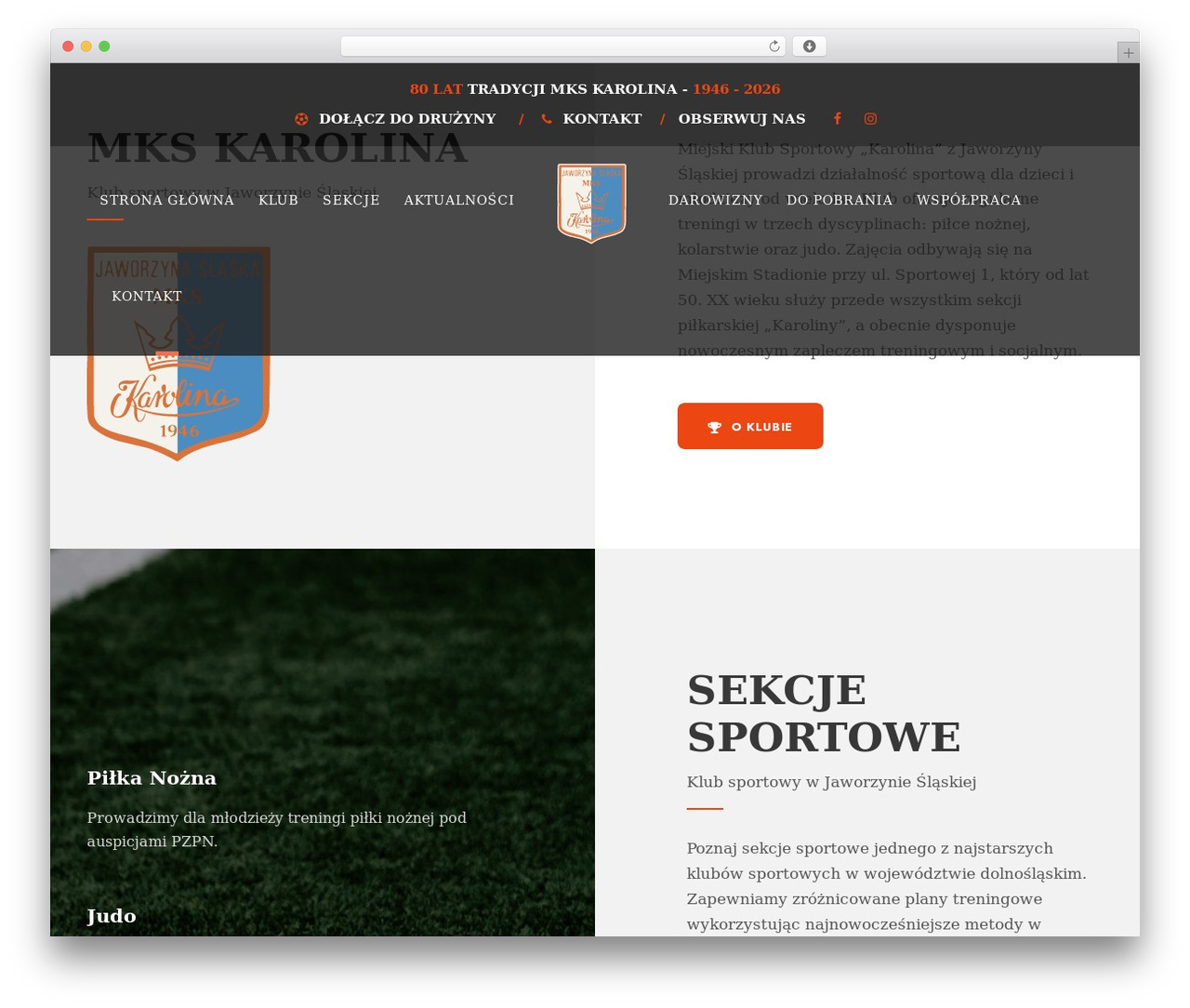 Bigslam Child WordPress theme - mkskarolina.com