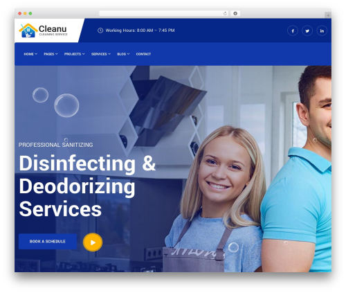 Cleanu core WordPress plugin - validthemes.net/themeforest/wp/cleanu