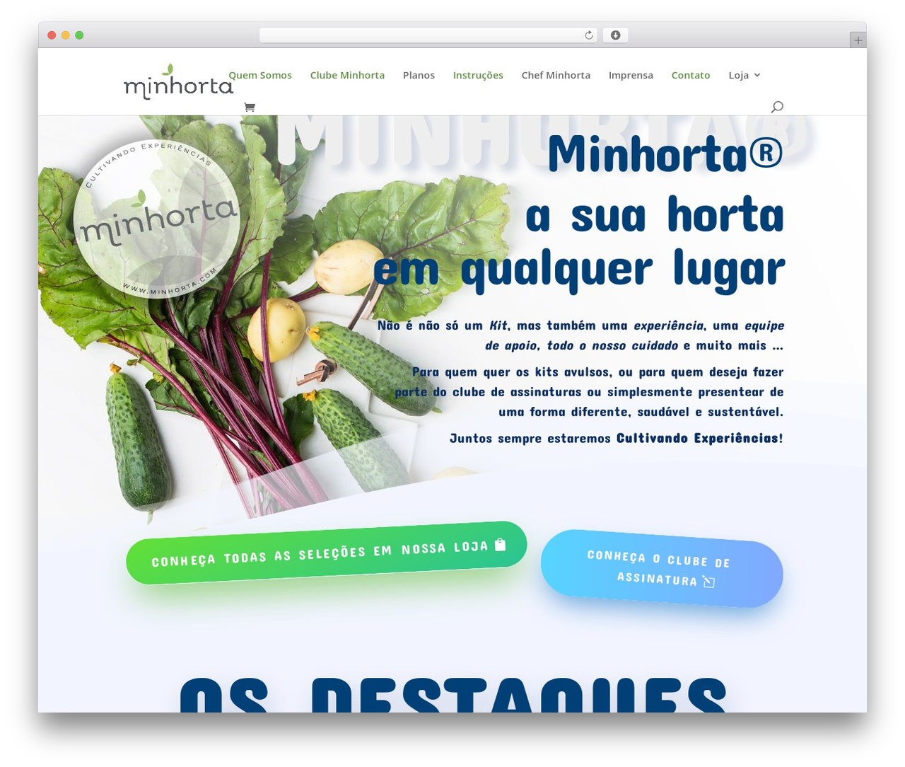 Divi premium WordPress theme - minhorta.com Divi premium WordPress theme - minhorta.com