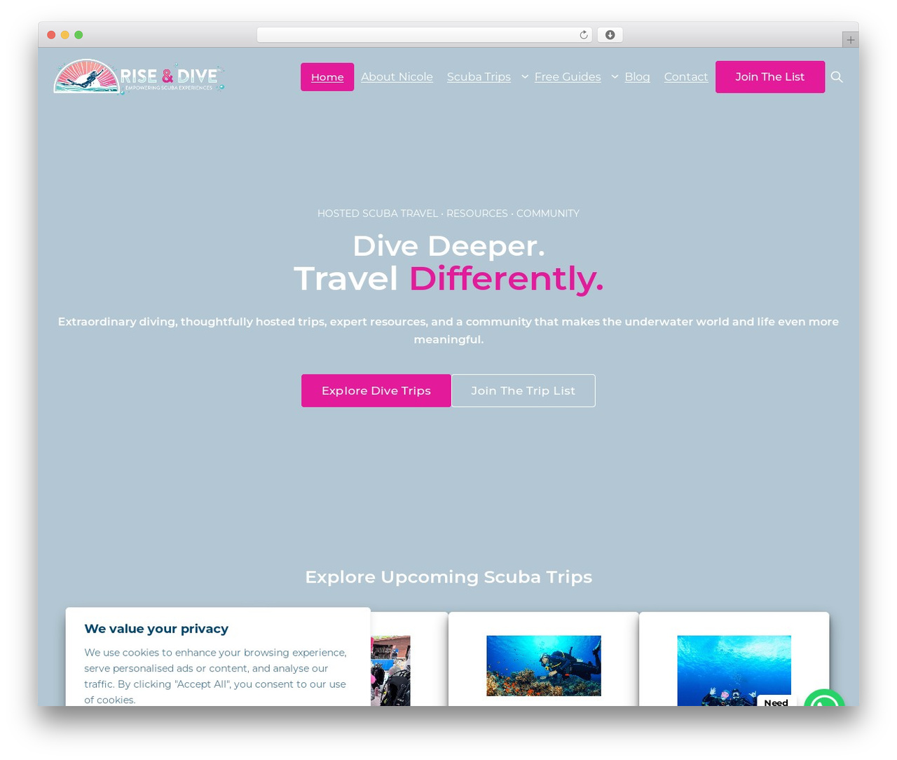 Genesis WordPress theme - riseanddive.com Genesis WordPress theme - riseanddive.com