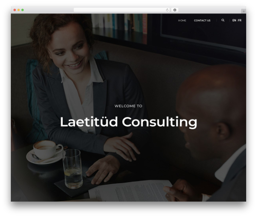 Pofo addons WordPress plugin - laetitud.com