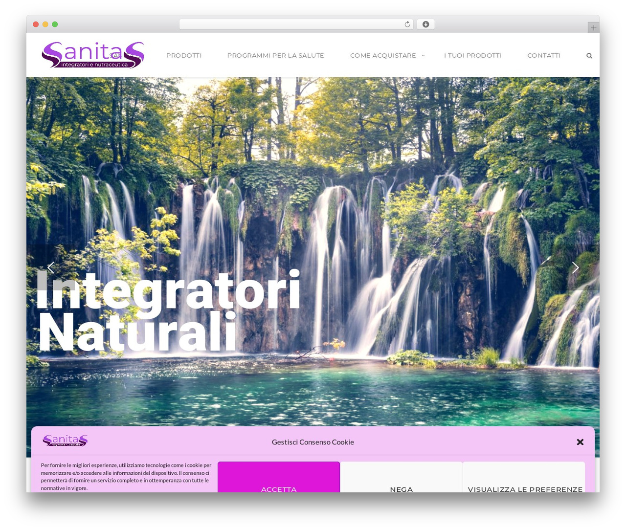 Theme WordPress Flora - sanita-s.com