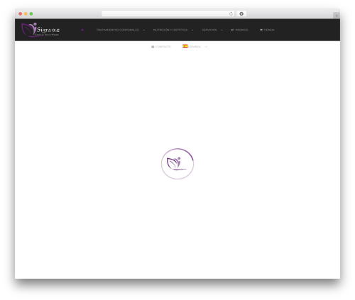 Wyde core WordPress plugin - centrosigra.com