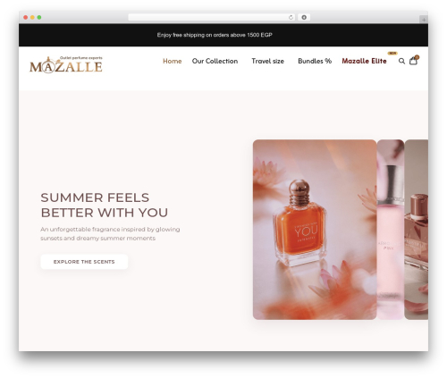 WordPress website theme Astra - mazalle.com