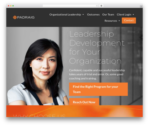 Divi theme WordPress - padraig.ca