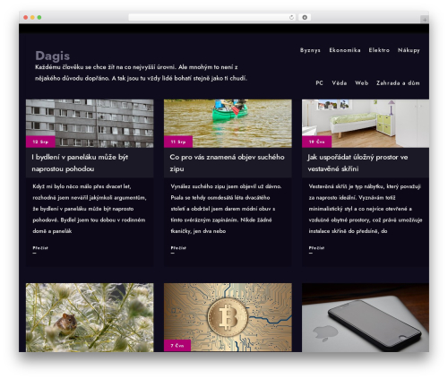 Formula WordPress theme - dagis.cz