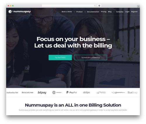 Dfd extensions WordPress plugin - nummuspay.com