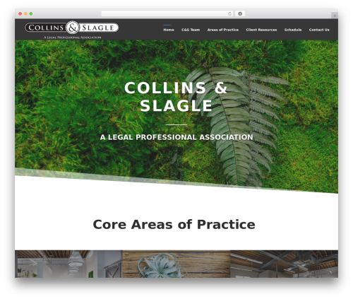 WordPress theme Divi - collins-slagle.com