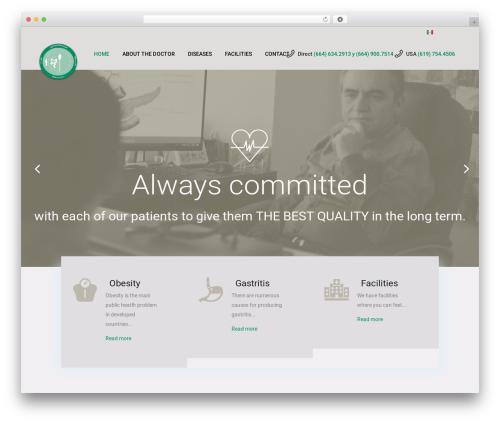 Bridge WordPress theme design - drcesareo.com