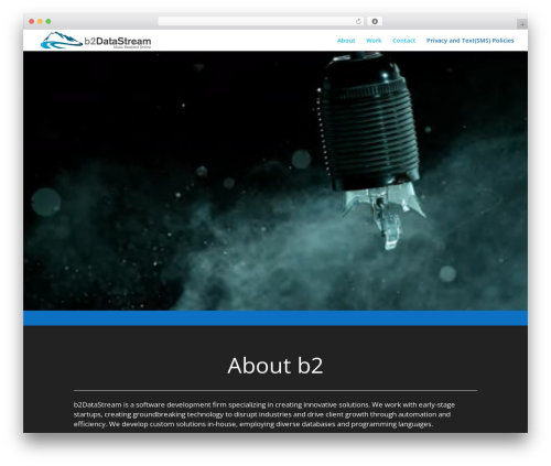 Bgvideo master WordPress plugin - b2datastream.com
