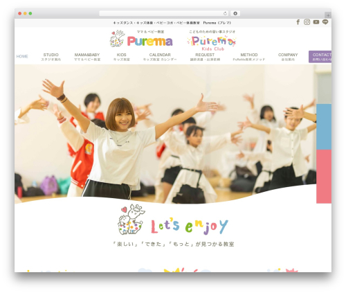 Emanon Premium WordPress page theme - purema.net