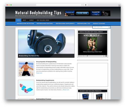 Seo pressor WordPress plugin - naturalbodybuildingtips.net
