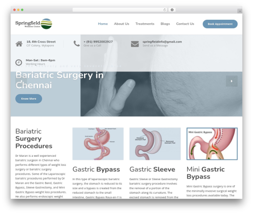 Physio-qt theme WordPress - springfieldwellnesscentre.com