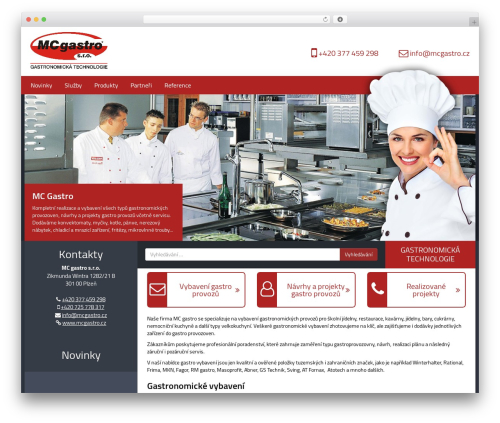 RTsoft - basic top WordPress theme - mcgastro.cz