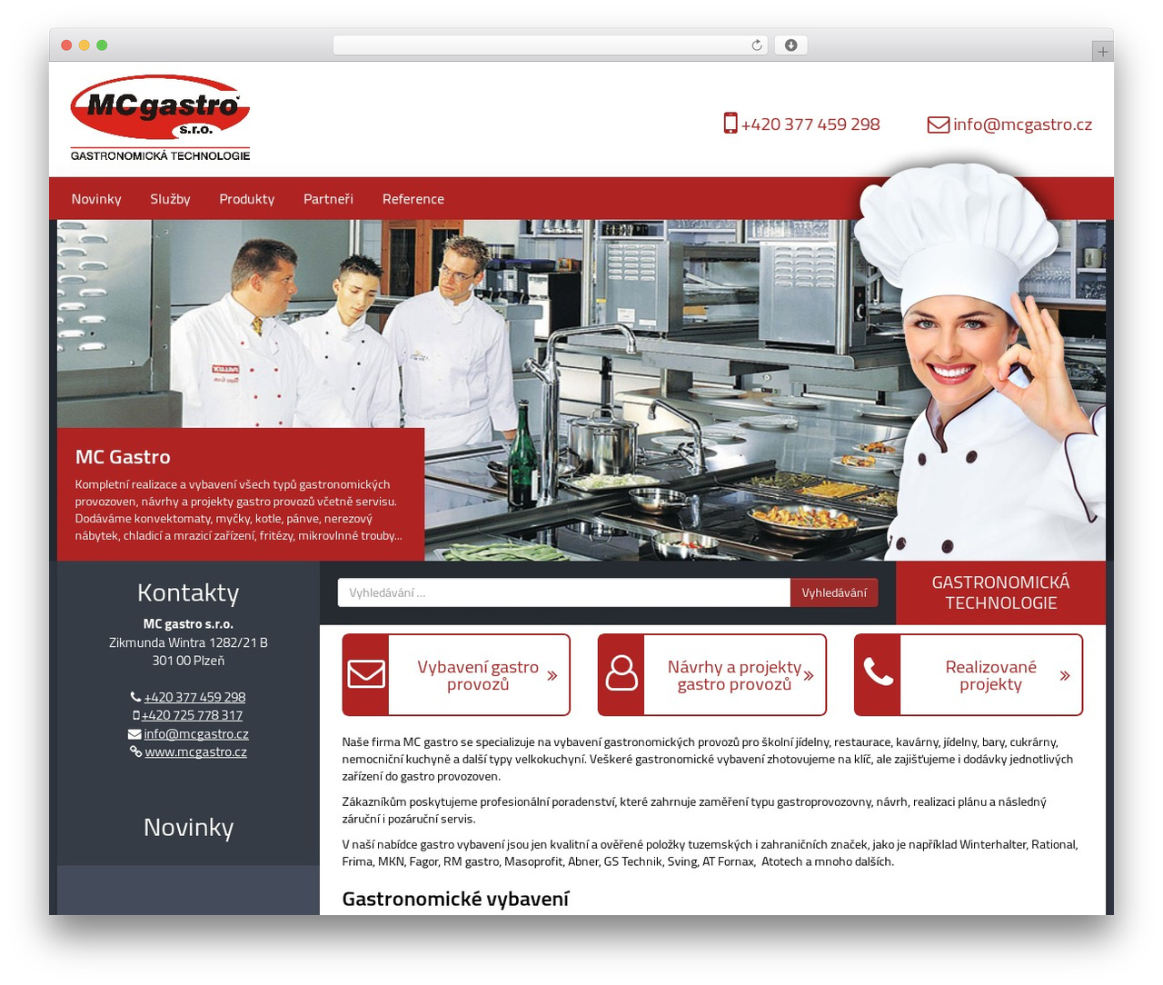 RTsoft - basic top WordPress theme - mcgastro.cz