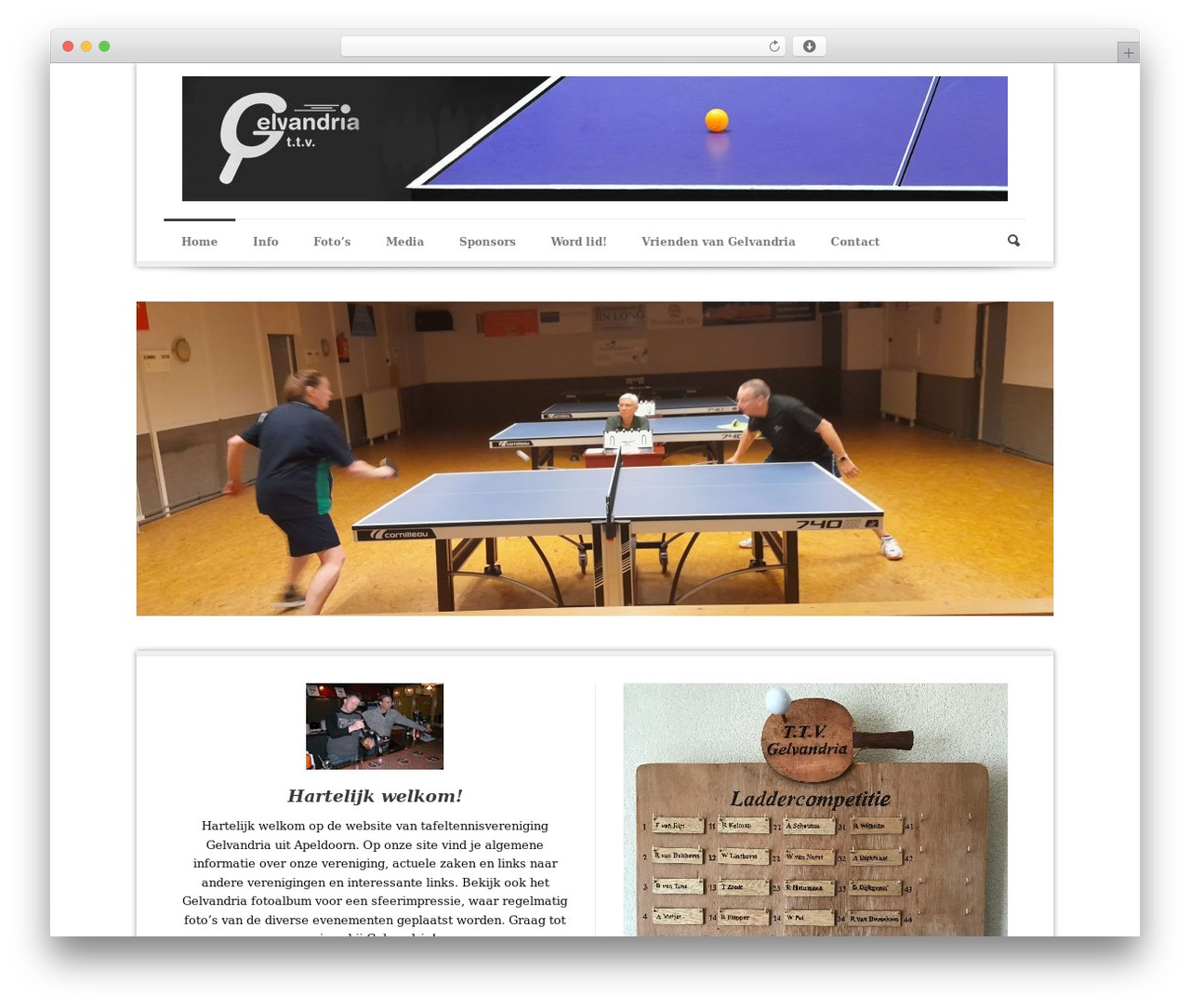 Theme WordPress Phoenix - gelvandria.nl