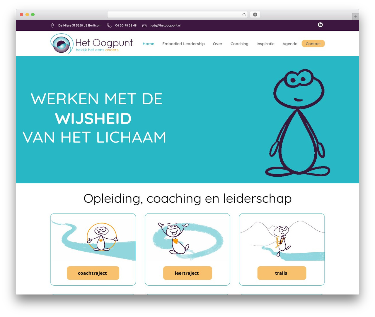 Wellspring WordPress theme design - hetoogpunt.nl