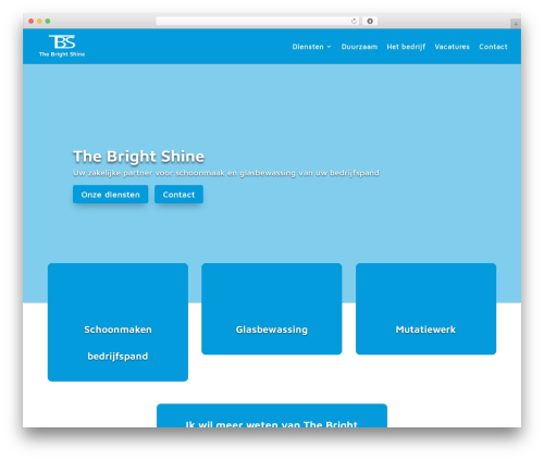 WordPress theme Divi - thebrightshine.nl