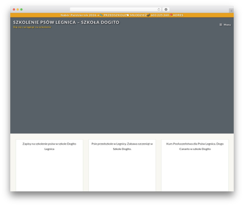 WordPress theme OceanWP - dogito.pl
