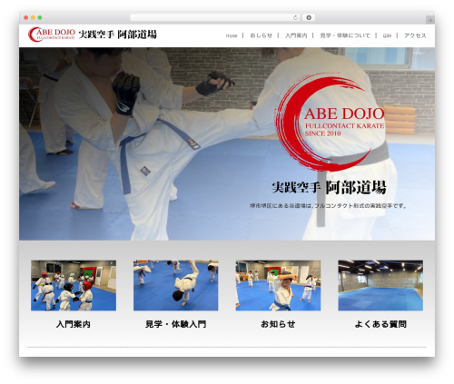 WordPress theme LEVEL4 - abedojo.com