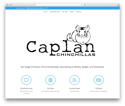 Aspen footer editor WordPress plugin - caplanchinchillas.com