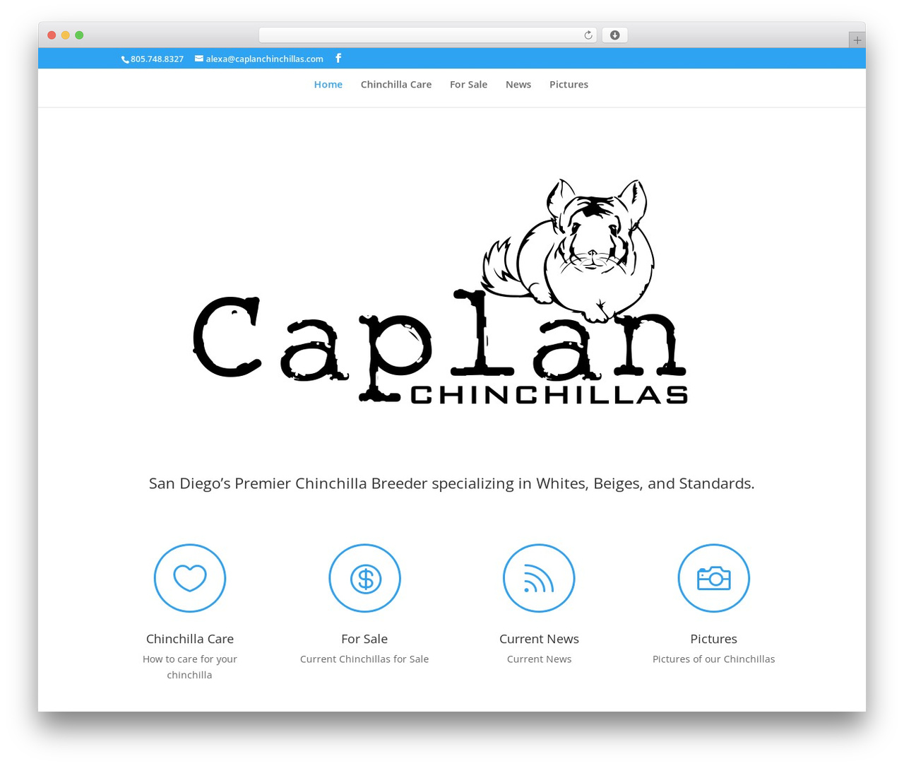 Divi theme WordPress - caplanchinchillas.com Divi theme WordPress - caplanchinchillas.com