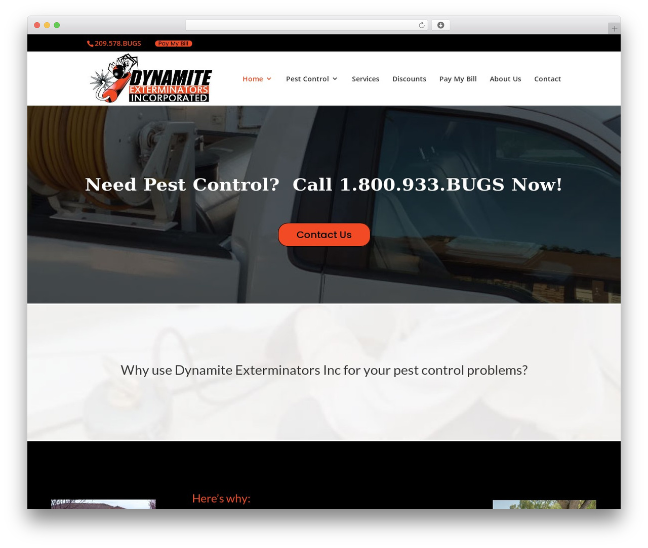 Divi theme WordPress - dynamiteexterminators.com Divi theme WordPress - dynamiteexterminators.com