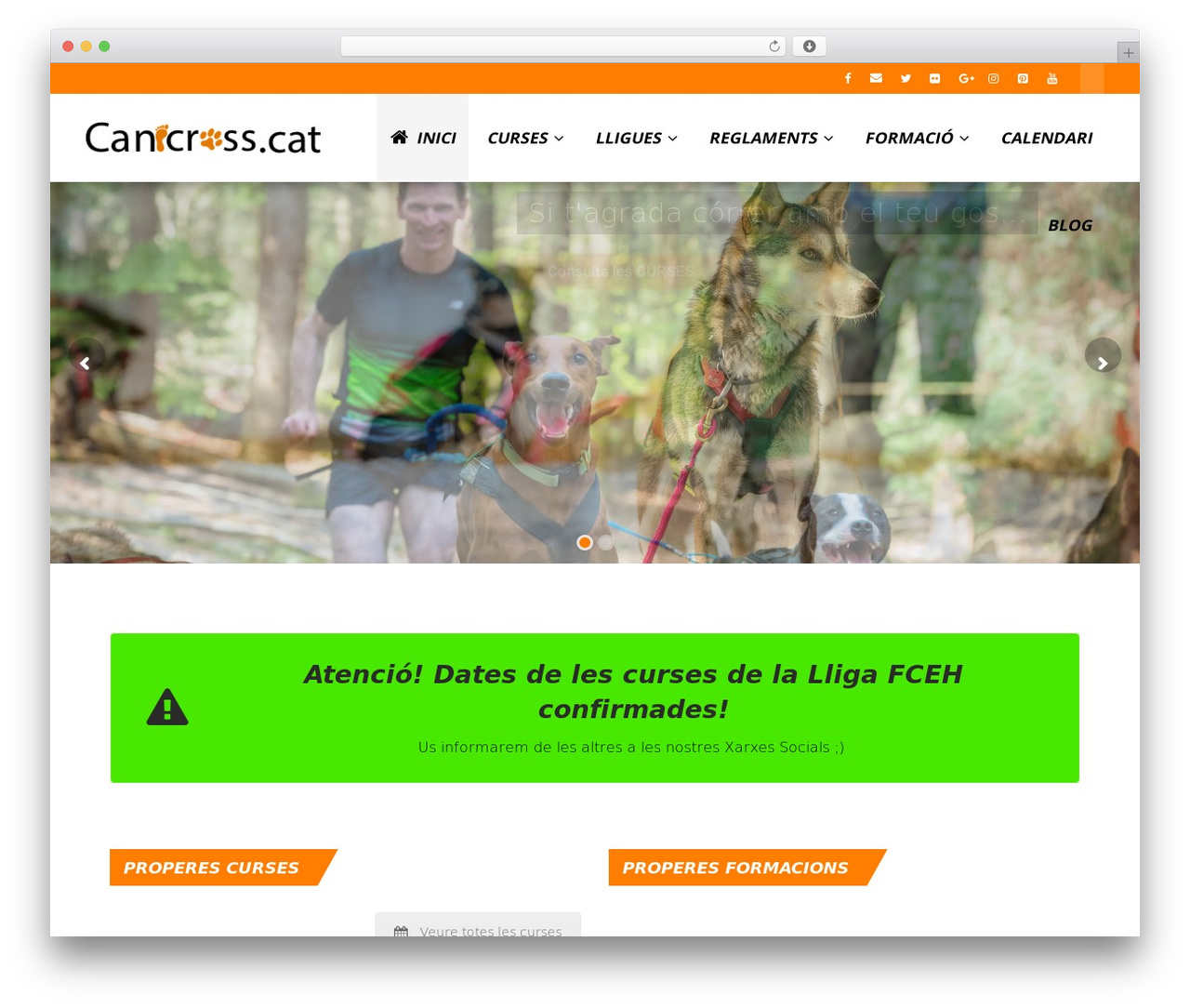 gameplan WordPress theme design - canicross.cat