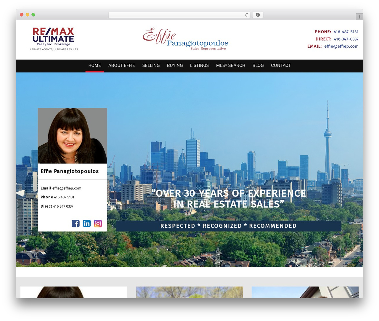 Laurel WP theme - effiep.com