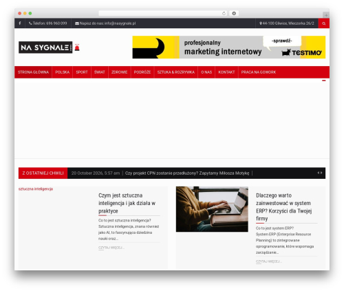 Reendex WordPress theme - nasygnale.pl
