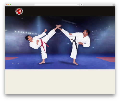 Trx_socials WordPress plugin - goldenstarkarate.com
