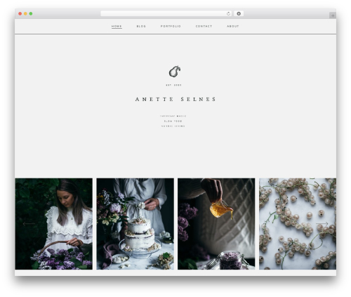 Solene top WordPress theme - anetteselnes.com