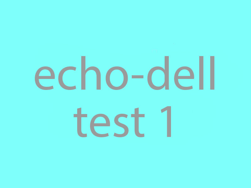 Theme WordPress Echo-dell test 1 Theme by SD