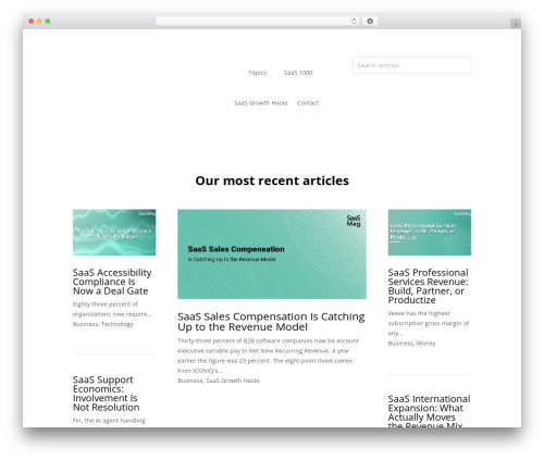 Divi theme WordPress - saasmag.com
